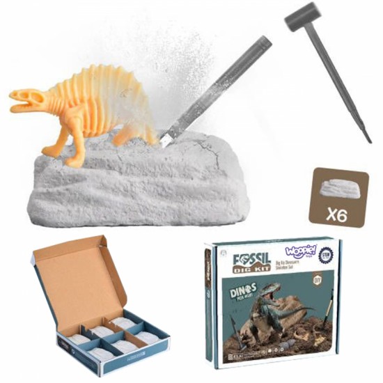6 viename dinozauro skeleto kasinėjimų vieta, mažasis archeologas WOOPIE