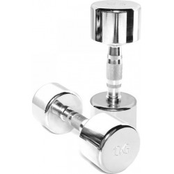 Chromuotas hantelis TOORX MC-10 10 kg