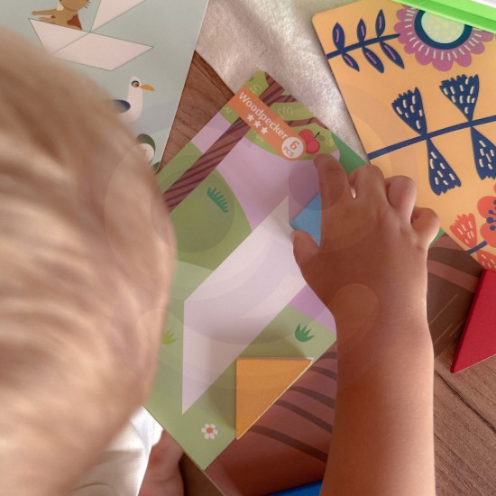 Dėlionė vaikams Lavinimosi figūros Figūrėlės Formos 18 vnt. TOOKY TOY Tangram