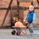 Dviratis metalinis sodo karutis vaikams Rolly Toys