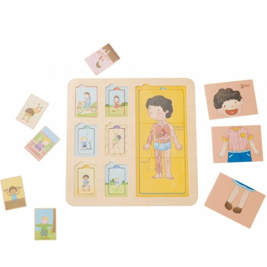 Edukacinė lenta Žmogaus kūno dėlionė Kaladėlės Dėlionė vaikams Suderinama MONTESSORI 19 vnt. CLASSIC WORLD