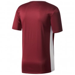 Futbolo marškinėliai adidas ENTRADA 18 CD8430