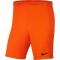 Futbolo šortai Nike Dry Park III NB K BV6855 819
