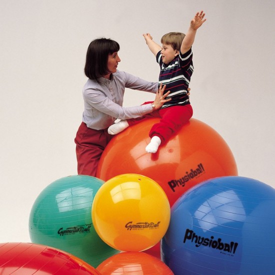 Gimnastikos Kamuolys Original PEZZI Physioball 85 cm.