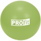 Gimnastikos kamuolys PROFIT 55cm su pompa Gimnastikos kamuolys PROFIT 55cm su pompa