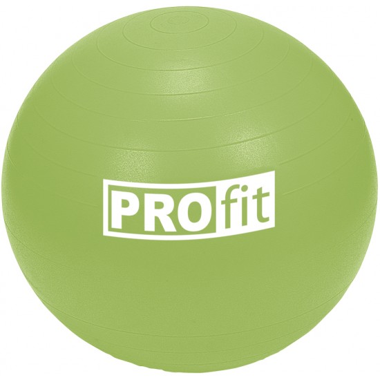 Gimnastikos kamuolys PROFIT 75cm su pompa DK 2102 Gimnastikos kamuolys PROFIT 75cm su pompa DK 2102