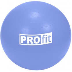 Gimnastikos Kamuolys PROFIT  75cm su Pompa