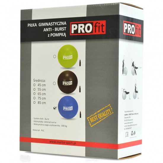 Gimnastikos Kamuolys PROFIT 75cm su Pompa Gimnastikos Kamuolys PROFIT 75cm su Pompa