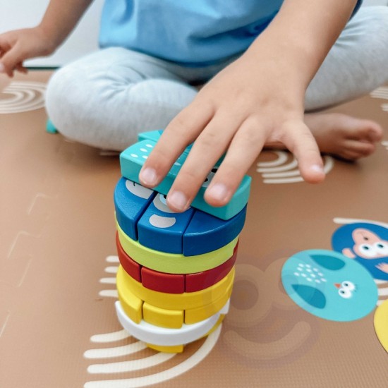 Įgūdžių žaidimas gyvūnų kaladėlėms FSC sertifikuotas TOOKY TOY