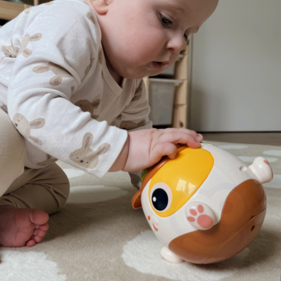 Interaktyvus žaislinis kamuolys šunims, muzikinis lavinamasis žaislas WOOPIE BABY