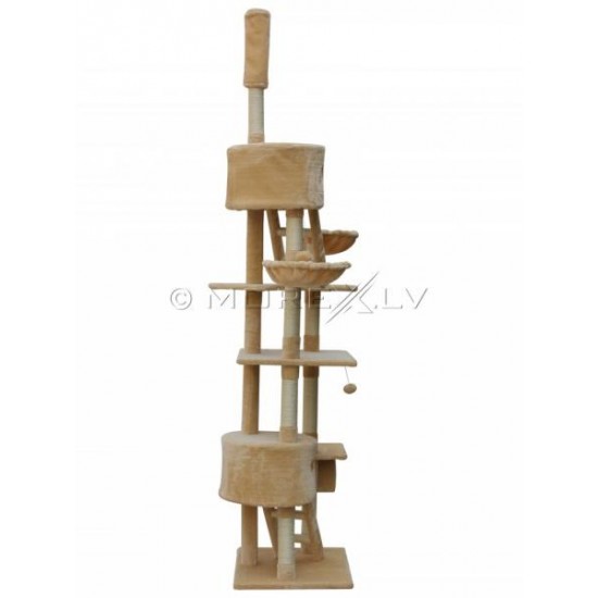 Kačių namai CAT807 Beige