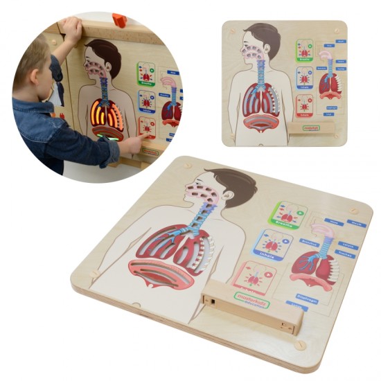 Kvėpavimo sistemos ugdymo taryba MASTERKIDZ Montessori