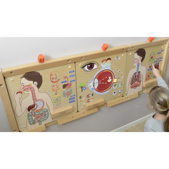 Kvėpavimo sistemos ugdymo taryba MASTERKIDZ Montessori