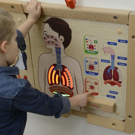 Kvėpavimo sistemos ugdymo taryba MASTERKIDZ Montessori