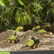 Laistymo sistemos dinozaurų jėgos darbuotojo smėlio žaislas BIG Plow