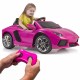 Lamborghini Aventador rožinis elektrinis automobilis 6V 3+ FEBER