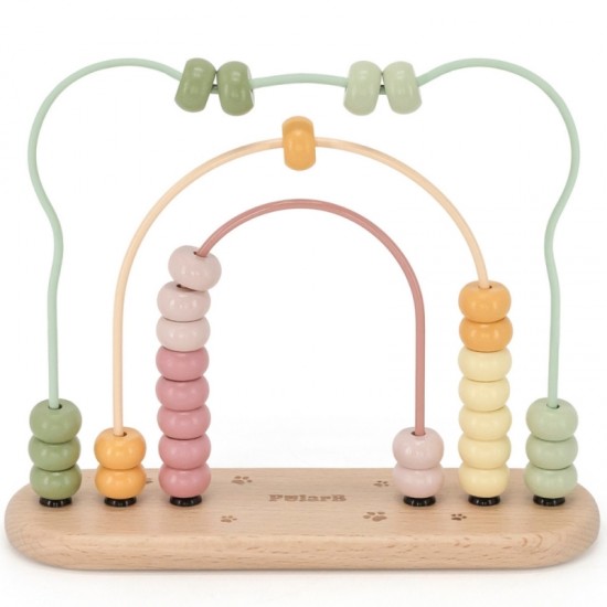 Mano pirmasis Abacus VIGA PolarB