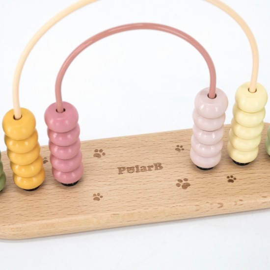Mano pirmasis Abacus VIGA PolarB