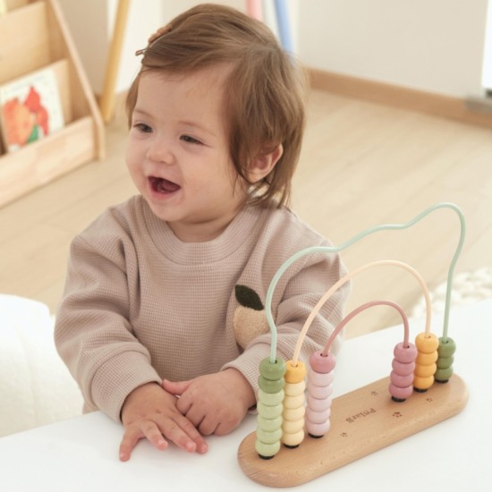 Mano pirmasis Abacus VIGA PolarB