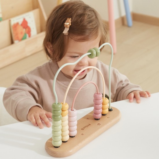 Mano pirmasis Abacus VIGA PolarB