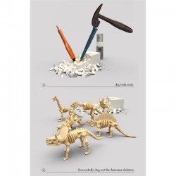 Mažasis archeologas kasinėjo 6 dinozaurų skeletus WOOPIE