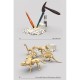 Mažasis archeologas kasinėjo 6 dinozaurų skeletus WOOPIE