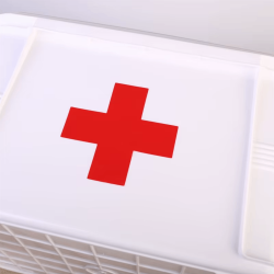 Medicininė medikamentų saugojimo dėžutė KASMAN Small 23.5x17x13.5cm