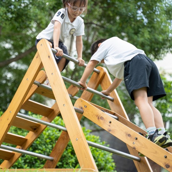 Medines žaidimų aikštelės XL Montessori laipiojimo kopėčių komplektas CLASSIC WORLD EDU