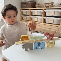 Mediniai kaladėlės Dėlionė Gyvūnai Montessori 9 vnt. TOOKY TOY