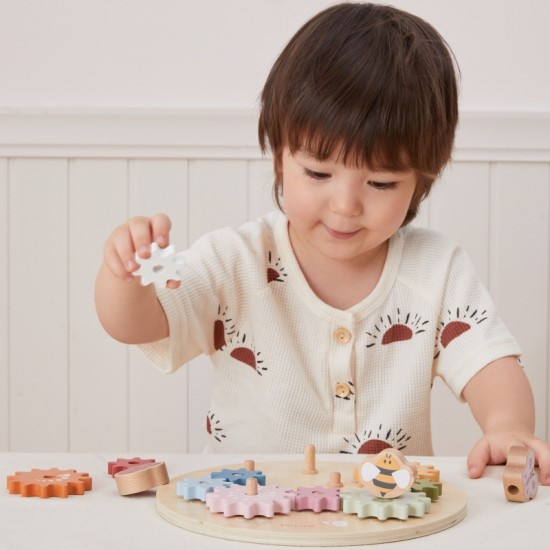 Mediniai spalvoti Montessori Gears VIGA PolarB