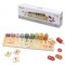 Medinis Abacus Montessori numerių rūšiuotojas VIGA PolarB