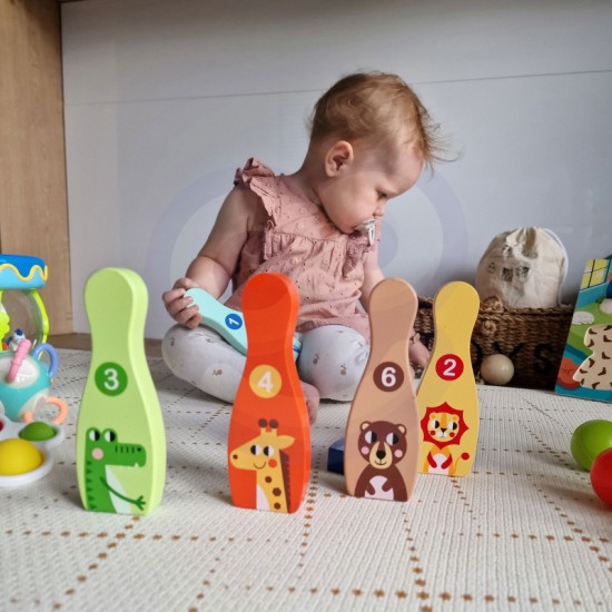 Medinis boulingas vaikams, 6 vnt. + kamuoliukas TOOKY TOY