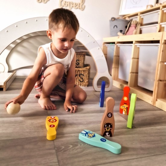 Medinis boulingas vaikams, 6 vnt. + kamuoliukas TOOKY TOY