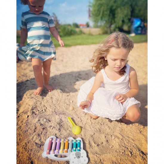 Medinis ksilofonas baltasis lokys Montessori VIGA