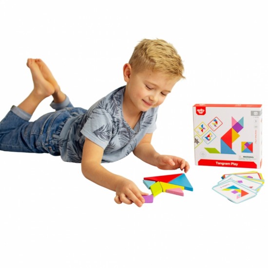 Medinis tangramų dėlionė TOOKY TOY