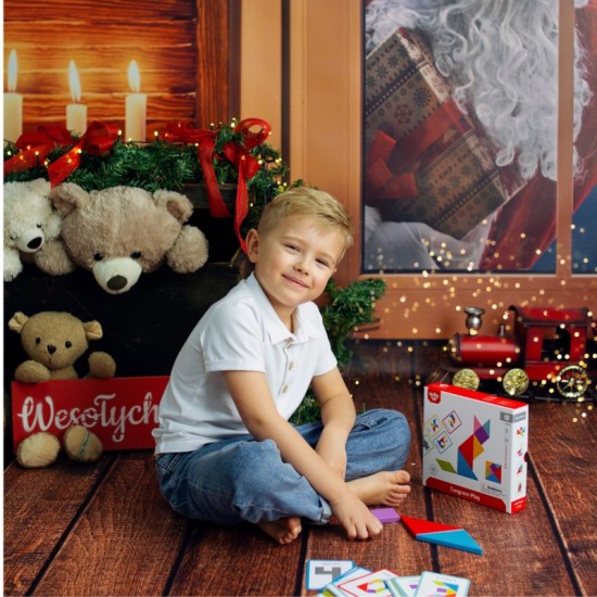 Medinis tangramų dėlionė TOOKY TOY