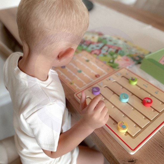 Medinis žaidimas „Mokomės skaičiuoti gyvūnus“ TOOKY TOY