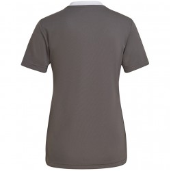 Moteriški Marškinėliai Adidas Entrada 22 Pilka H59848