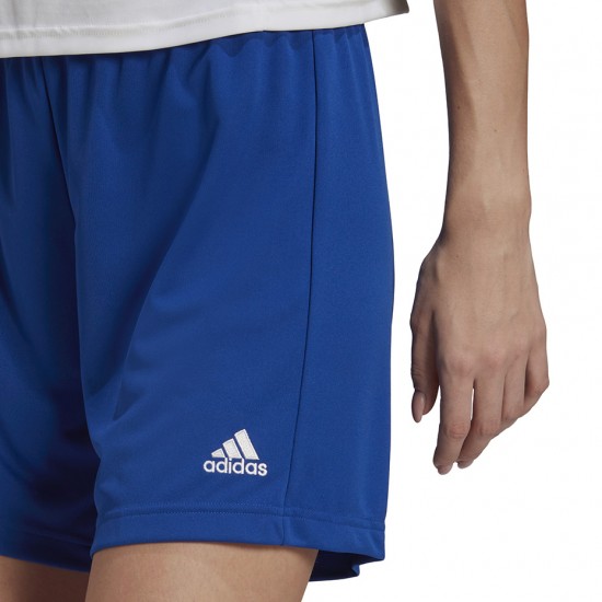 Moteriški Šortai Adidas Entrada 22 Mėlyna