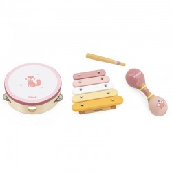 Muzikos instrumentų rinkinys, rožinis VIGA PolarB