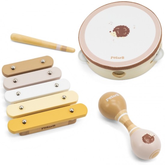Muzikos instrumentų rinkinys su ežiuku VIGA PolarB