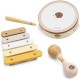 Muzikos instrumentų rinkinys su ežiuku VIGA PolarB