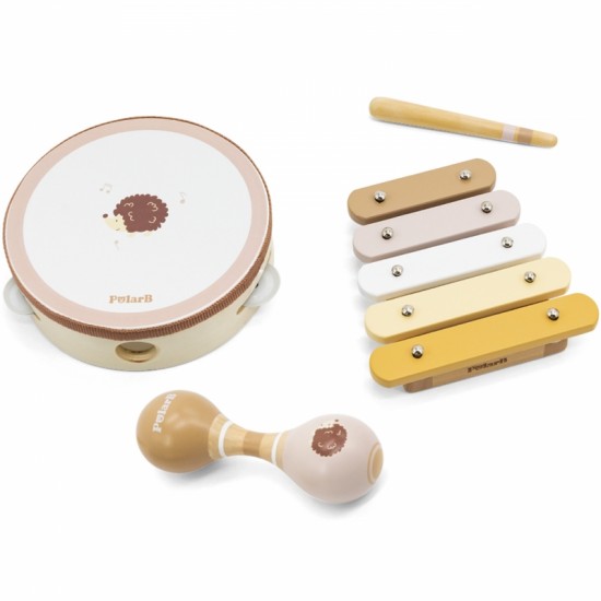 Muzikos instrumentų rinkinys su ežiuku VIGA PolarB