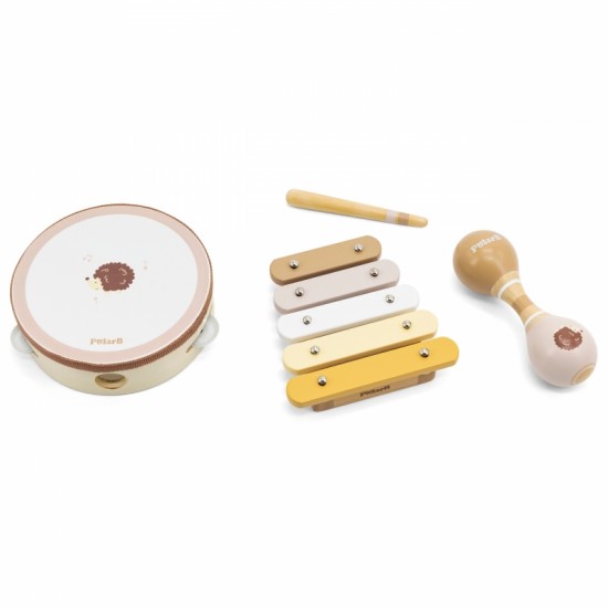 Muzikos instrumentų rinkinys su ežiuku VIGA PolarB