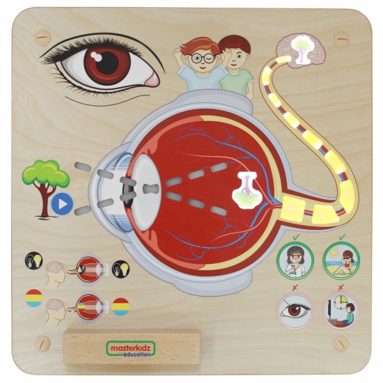 Regos pojūčių ugdymo lenta MASTERKIDZ Montessori