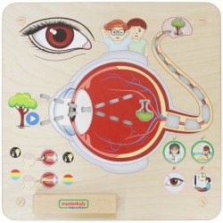 Regos pojūčių ugdymo lenta MASTERKIDZ Montessori