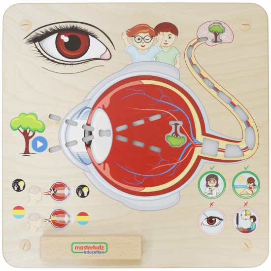 Regos pojūčių ugdymo lenta MASTERKIDZ Montessori
