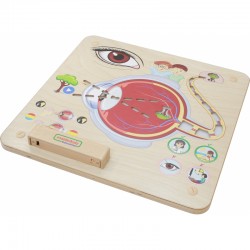 Regos pojūčių ugdymo lenta MASTERKIDZ Montessori