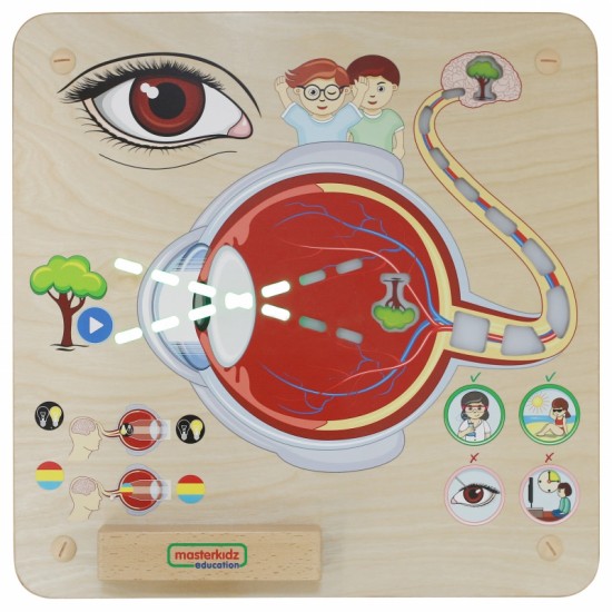 Regos pojūčių ugdymo lenta MASTERKIDZ Montessori
