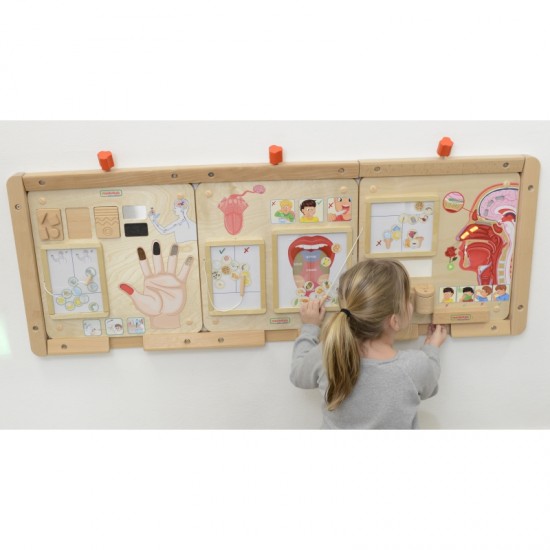 Regos pojūčių ugdymo lenta MASTERKIDZ Montessori